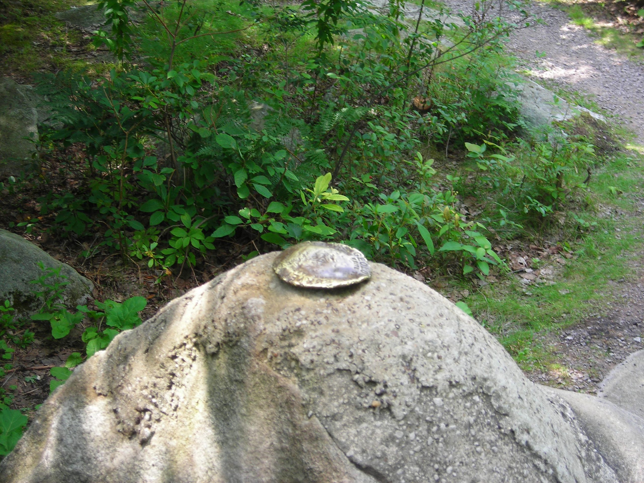 A survey datum marker on a rock.